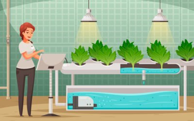 What is Hydroponic Farming?