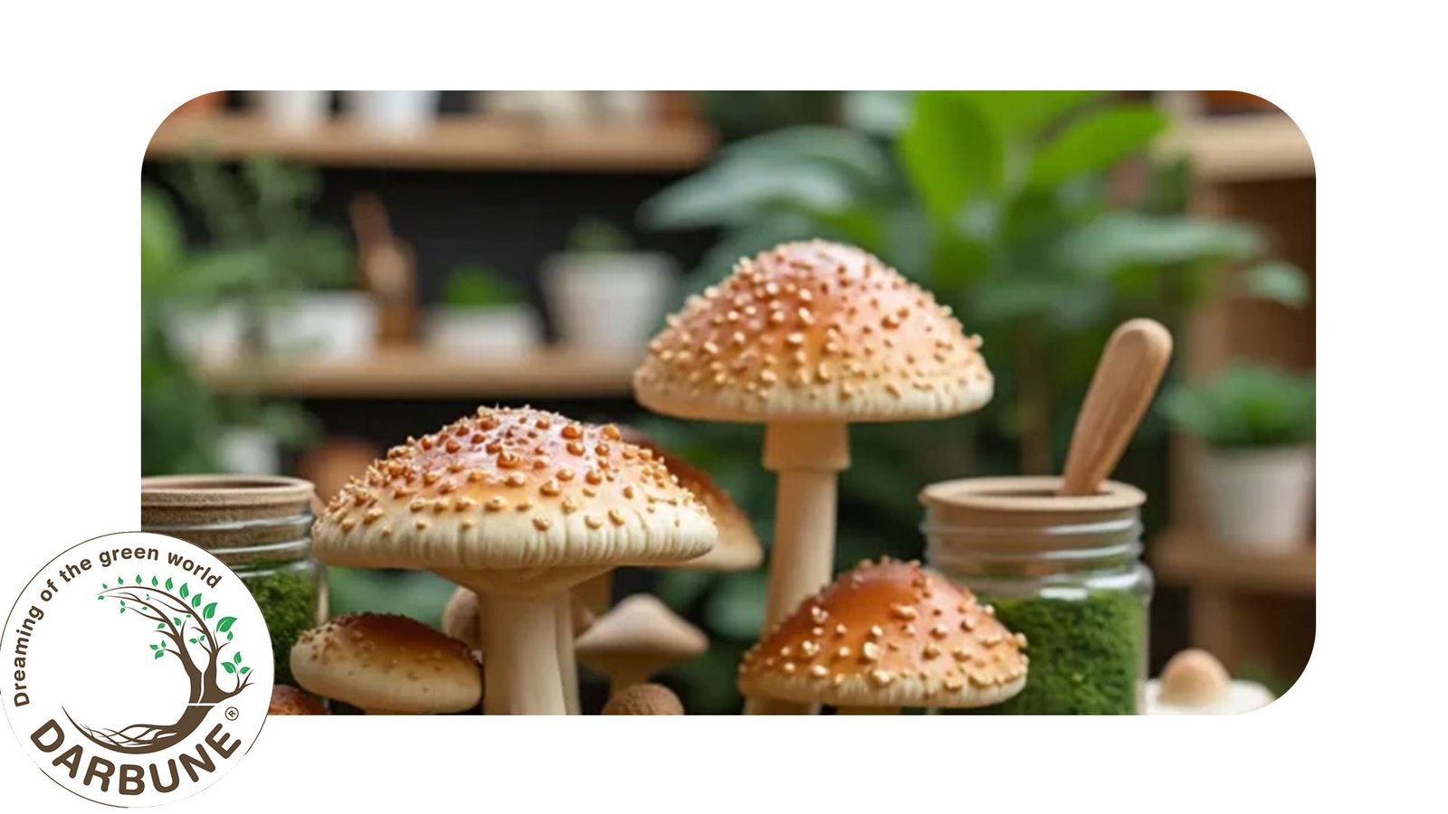Grow Mushrooms Indoors