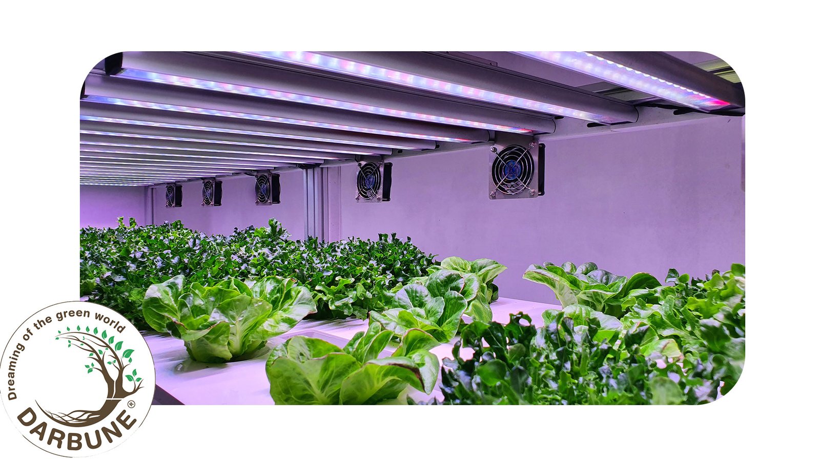 Introduction to Vertical Farming