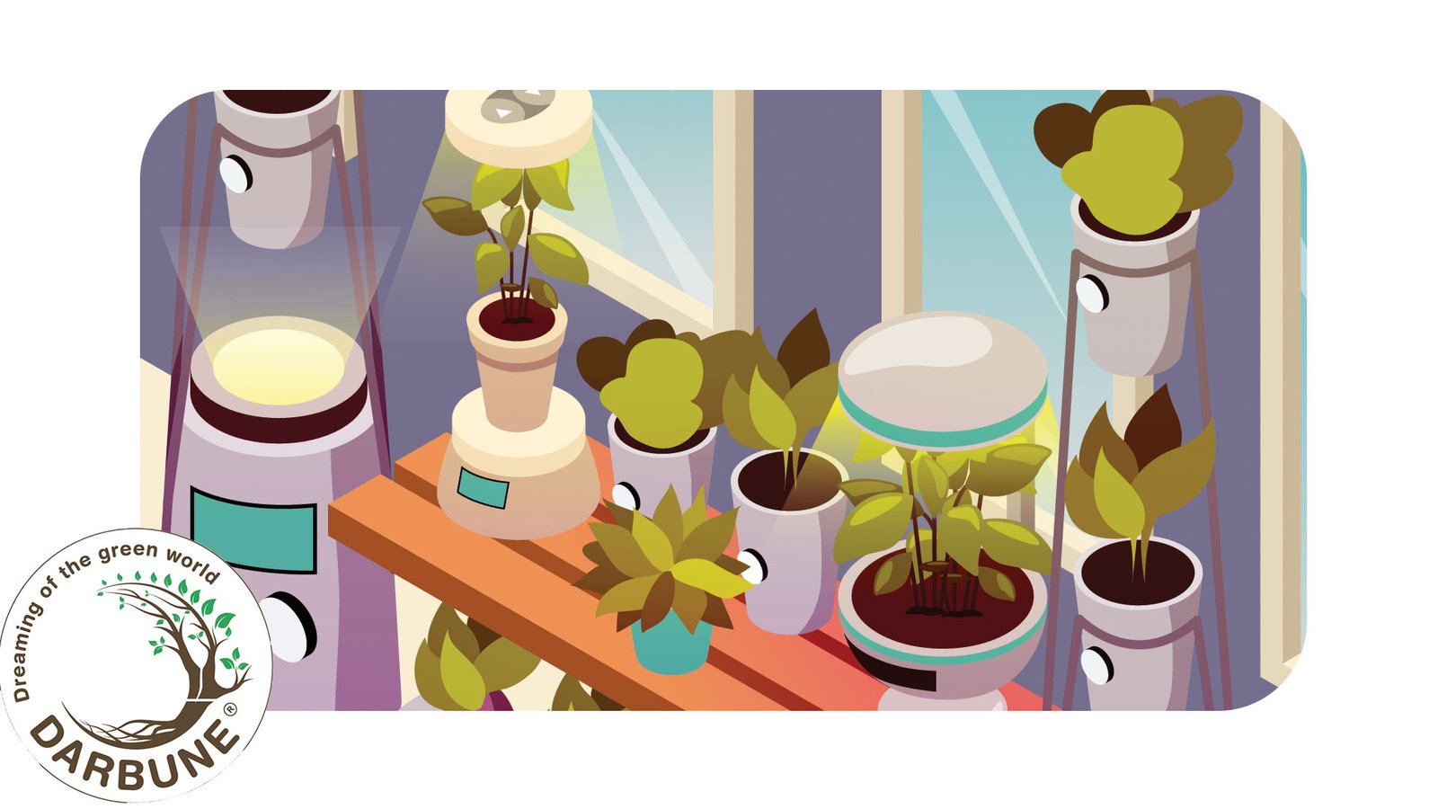 Types of Indoor Farming