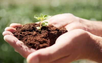 Is Hydroponic Farming Better than Traditional Soil Farming in 2025