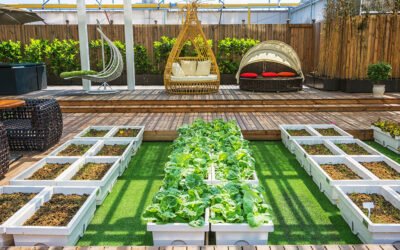 How to Grow Organic Vegetables in an Urban Apartment Without Soil