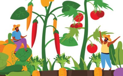 How to Grow Vegetables at Home Without Soil