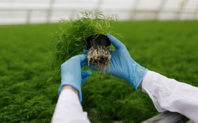 How to Prevent Pests in Hydroponic Farming