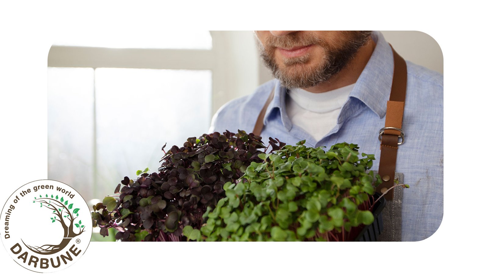micro-farm for selling fresh