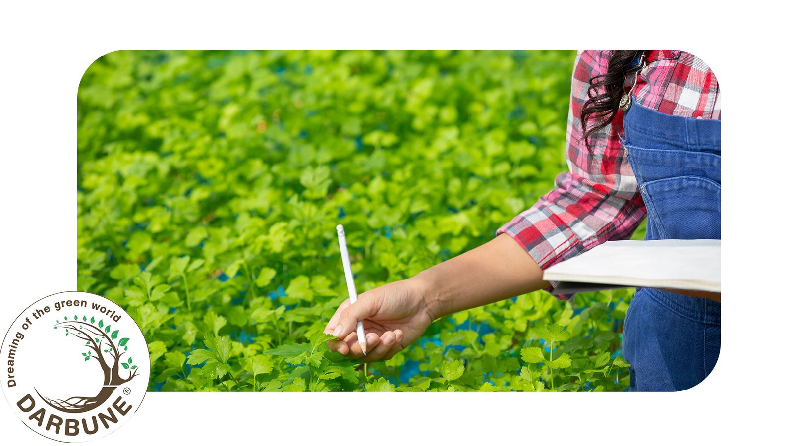 Setting Up Your Micro-Farm