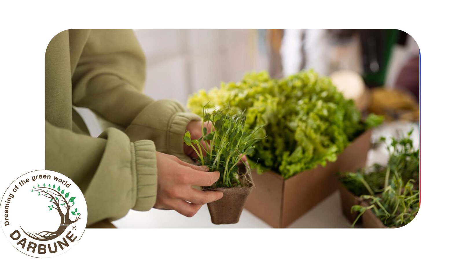 Setting Up Your Micro-Farm