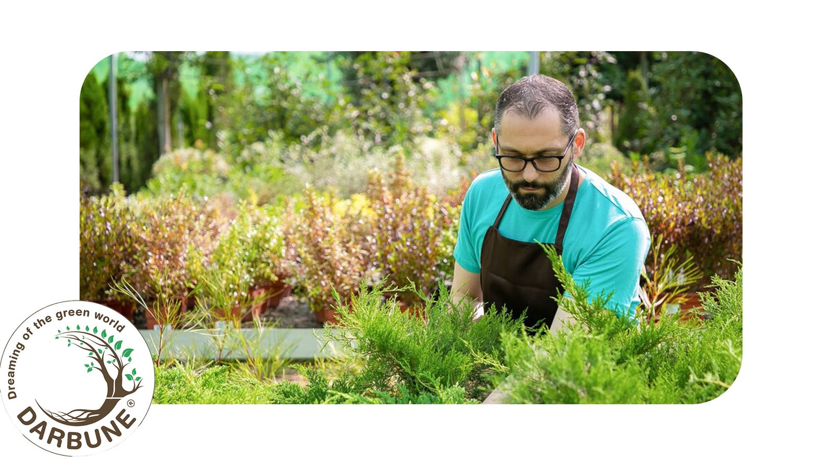 Setting Up Your Micro-Farm