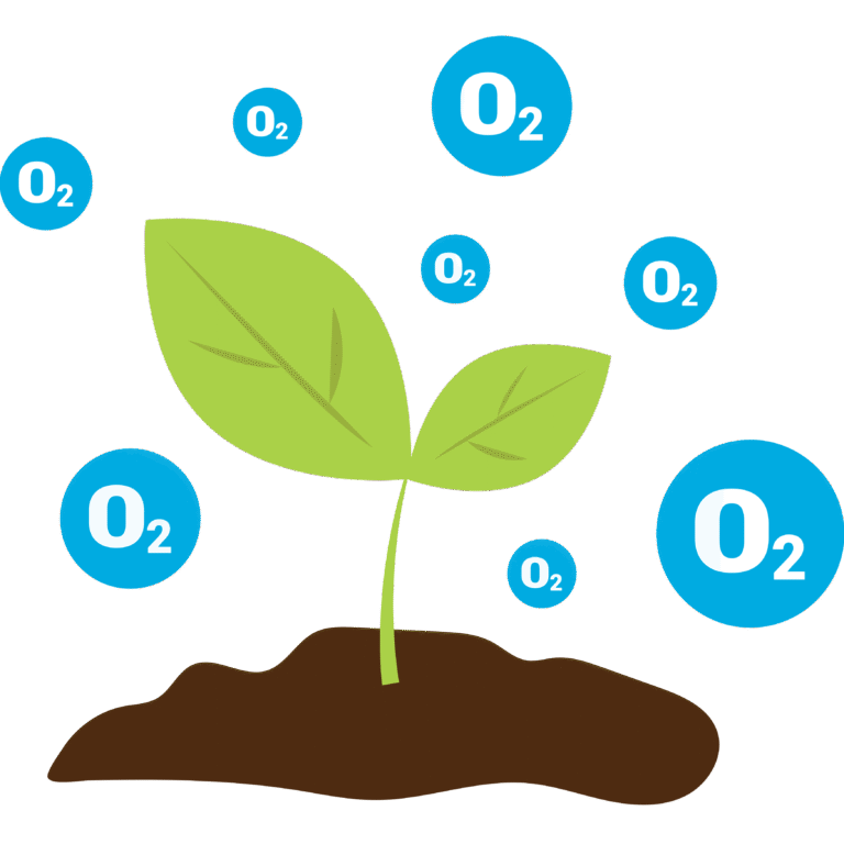Home ozone_air_purification