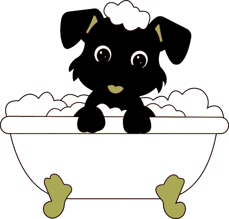 Home ozone pet spa system