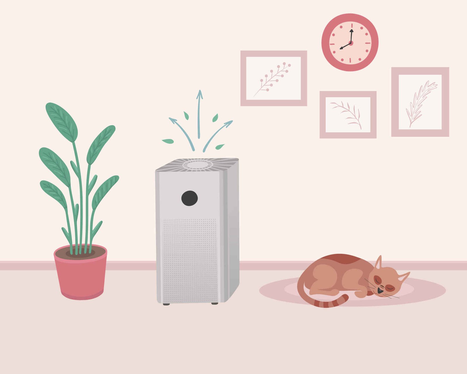 air purification odor removal