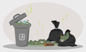 hydrogen sulfide odor remove