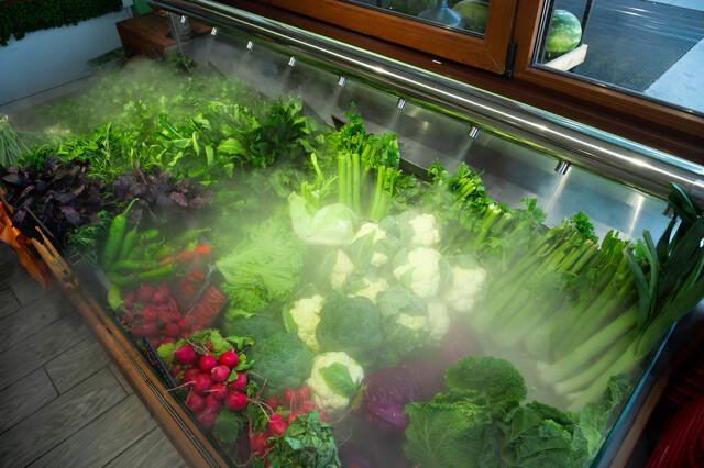 ozone vegetables washing darbune