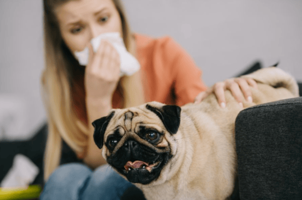 Pet odor control solution for pet facilities and grooming centers