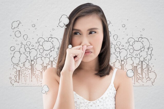 remove odor technology darbune