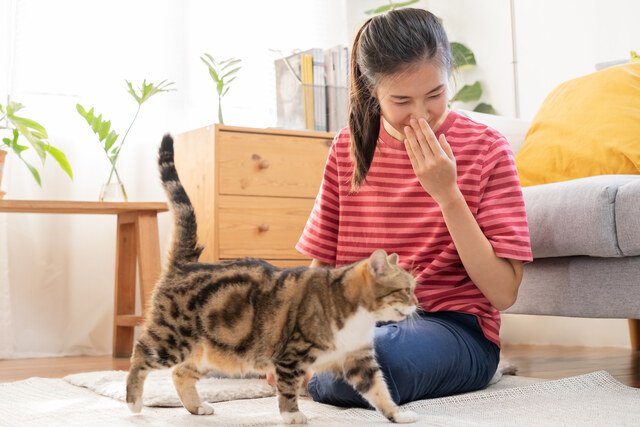 Why Do Bad Odors Persist and How Can They Be Effectively Controlled? Pet odor control solution for pet facilities