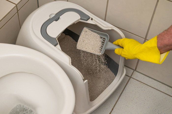 How To Eliminate Pet Odor Naturally? cat litter box home