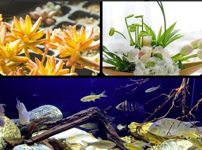 Natural Zeolite: Properties, Benefits, and Commercial Applications natural zeolite properties