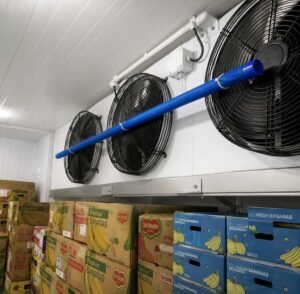 ethylene absorber fruit storage