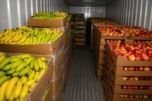 ethylene causes fruits spoil