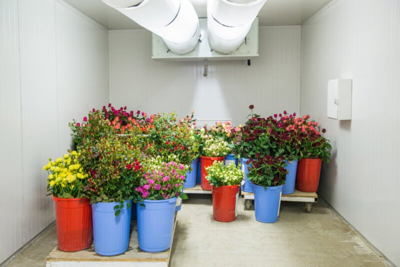 flower shop cold storage